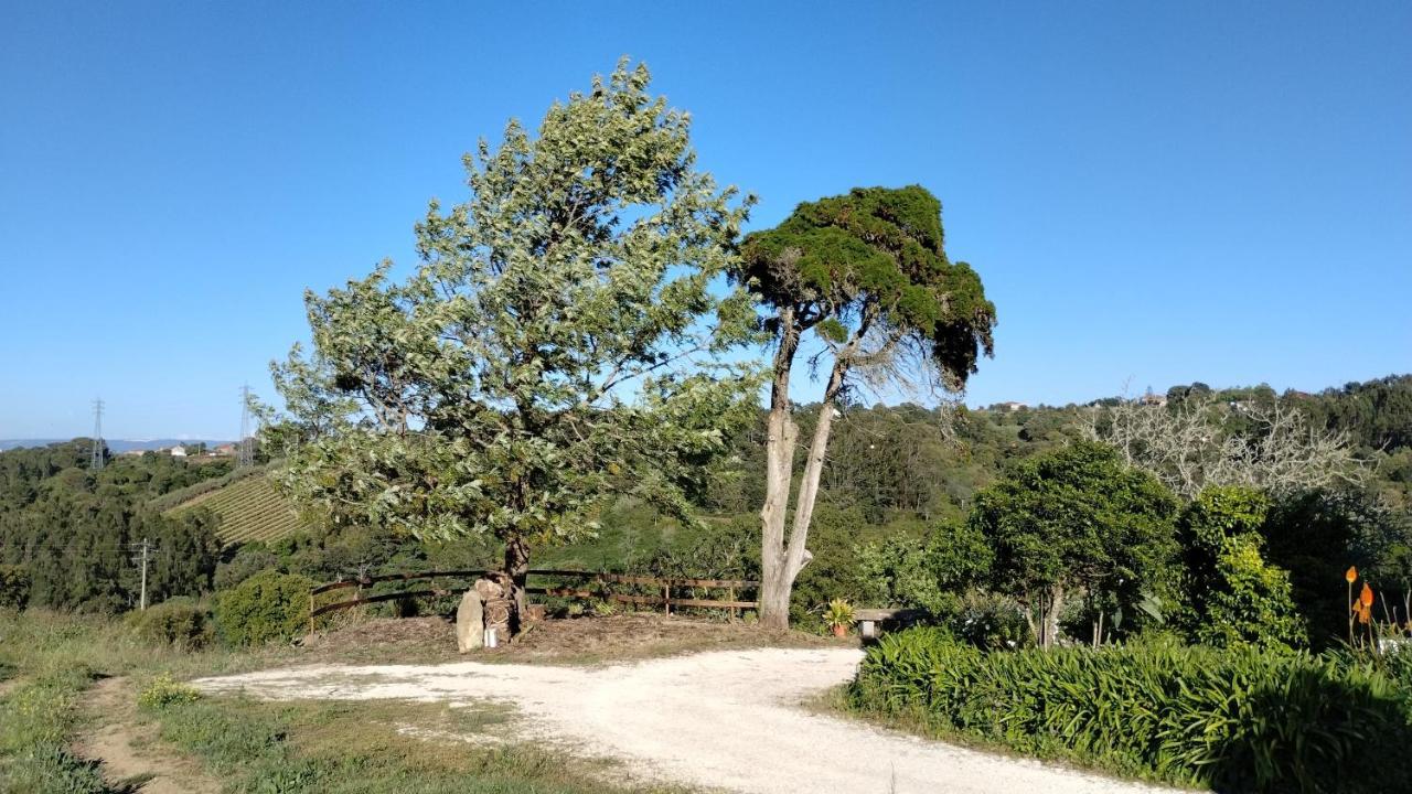 Quinta Do Oratorio Agroturismo 奥比多斯 外观 照片